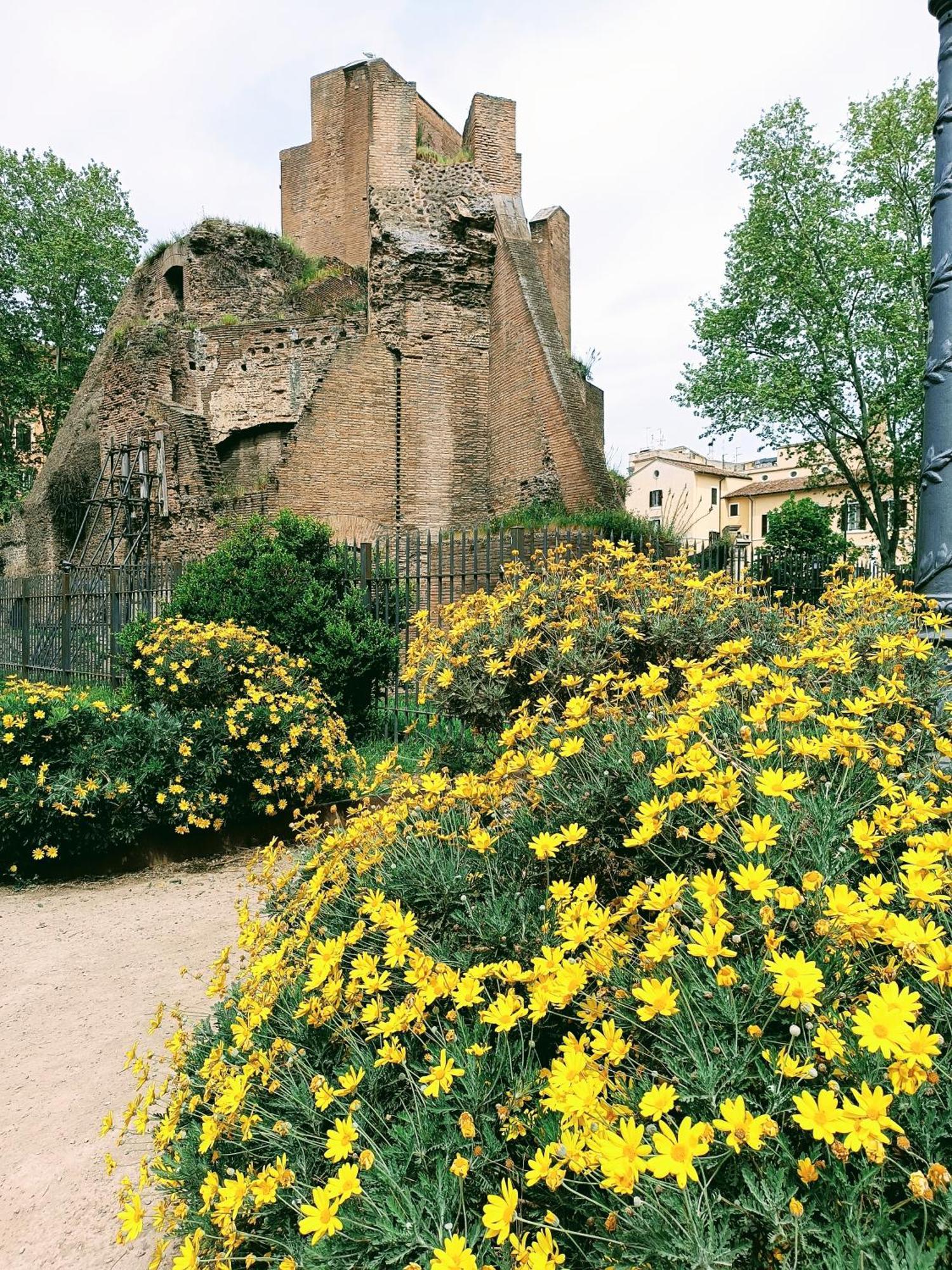 Porta Maggiore 9 Roma Locazione Turistica Eksteriør billede